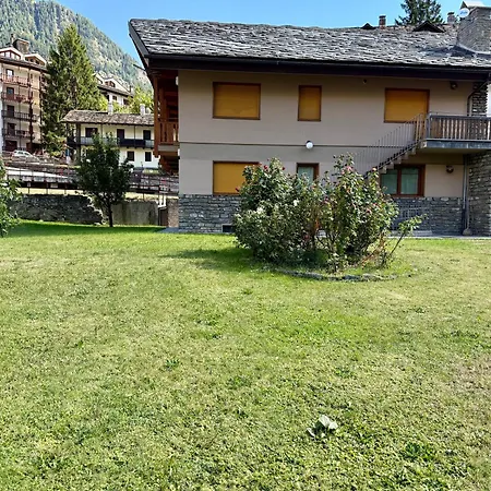 Monti